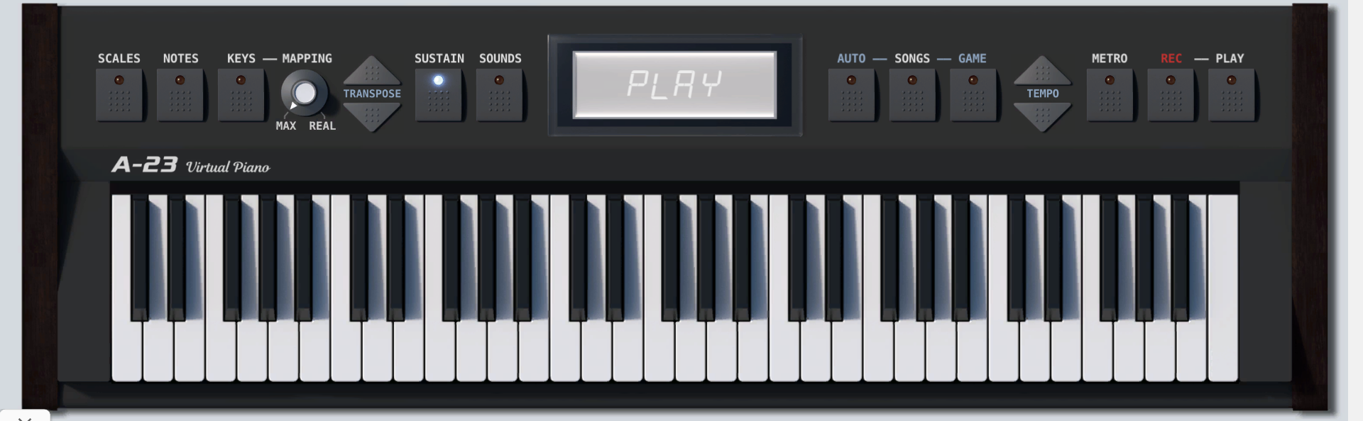 Picture of Virtual Piano Website